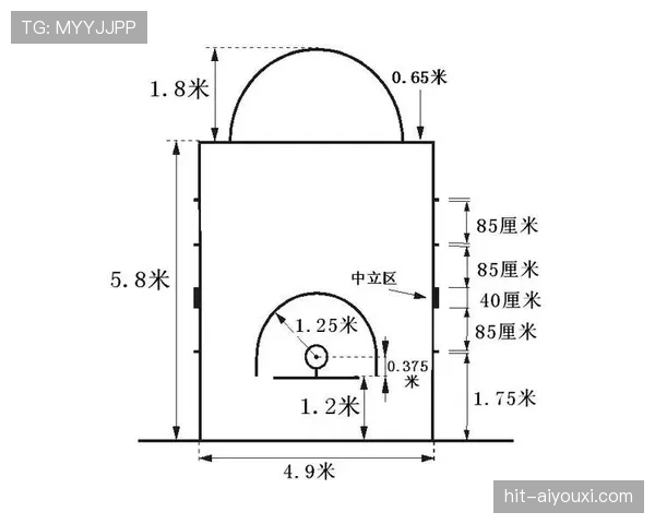 罚球规则NBA与FIBA区别：深入解析两大联盟差异